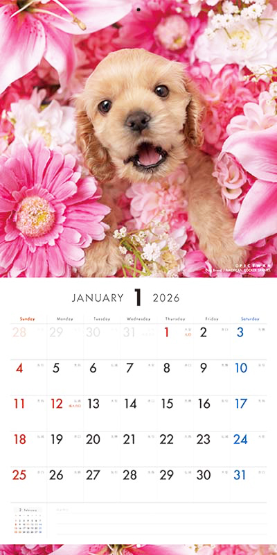 PICTWAN カレンダー 見開きサンプル