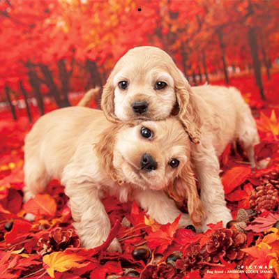 PICTWANカレンダー 10月