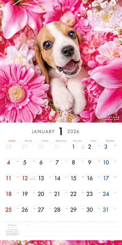 PICTWAN カレンダー 見開きサンプル