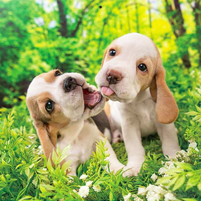 PICTWANカレンダー 9月