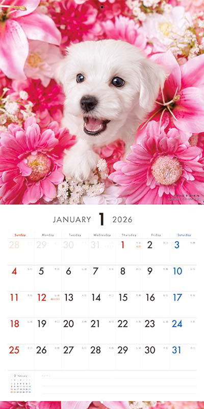 PICTWAN カレンダー 見開きサンプル