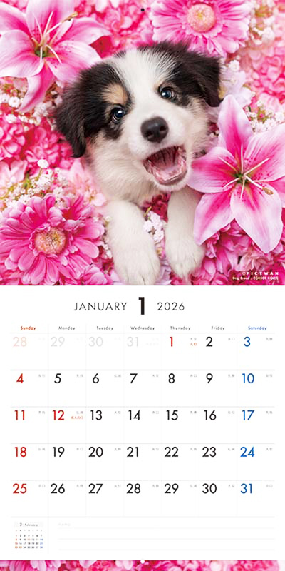 PICTWAN カレンダー 見開きサンプル