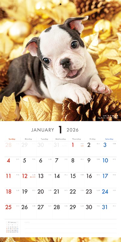 PICTWAN カレンダー 見開きサンプル