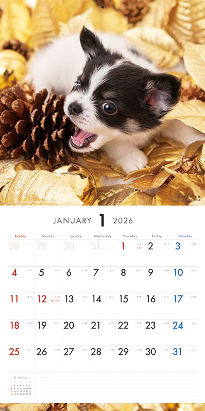 PICTWAN カレンダー 見開きサンプル