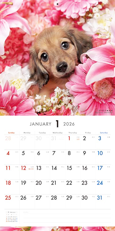 PICTWAN カレンダー 見開きサンプル