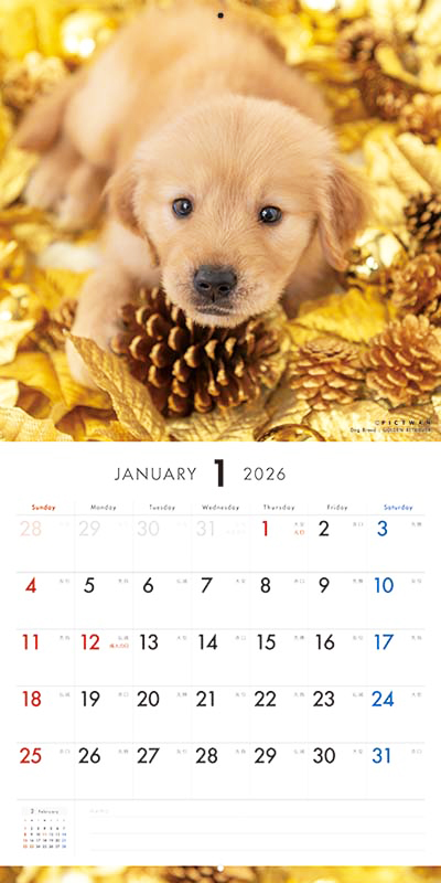 PICTWAN カレンダー 見開きサンプル