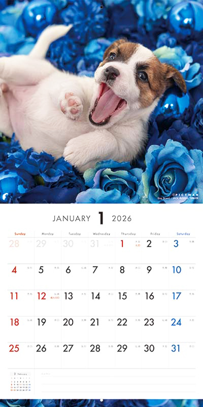 PICTWAN カレンダー 見開きサンプル