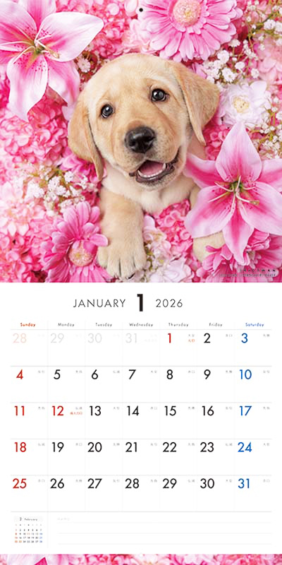 PICTWAN カレンダー 見開きサンプル