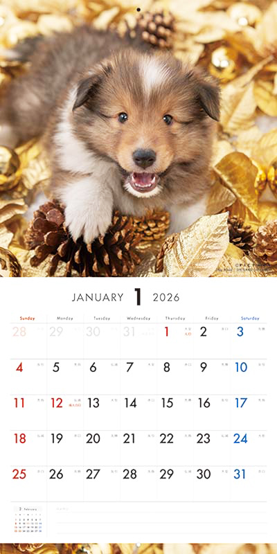 PICTWAN カレンダー 見開きサンプル