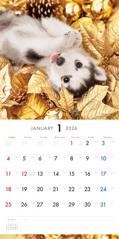 PICTWAN カレンダー 見開きサンプル