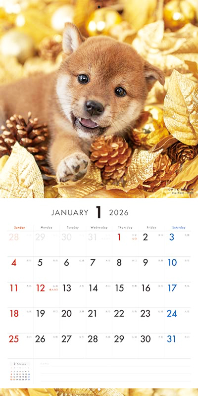 PICTWAN カレンダー 見開きサンプル