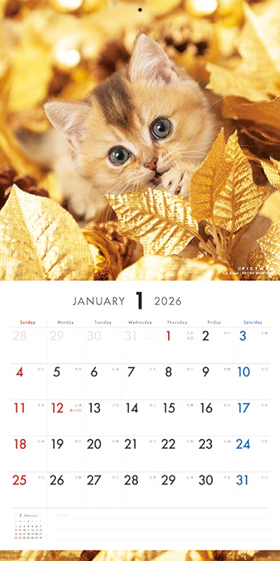 PICTWAN カレンダー 見開きサンプル