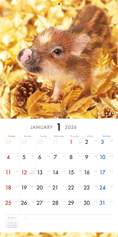 PICTWAN カレンダー 見開きサンプル