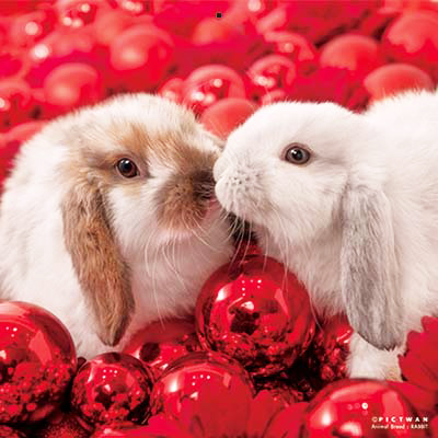 PICTWANカレンダー 3月