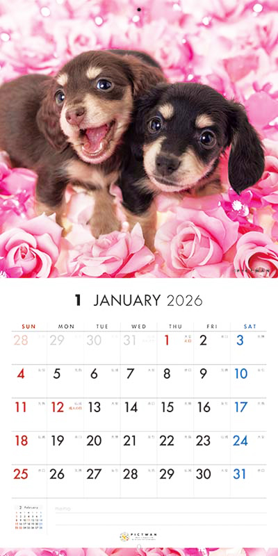 PICTWAN カレンダー 見開きサンプル