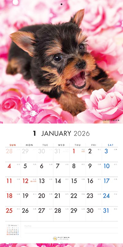 PICTWAN カレンダー 見開きサンプル