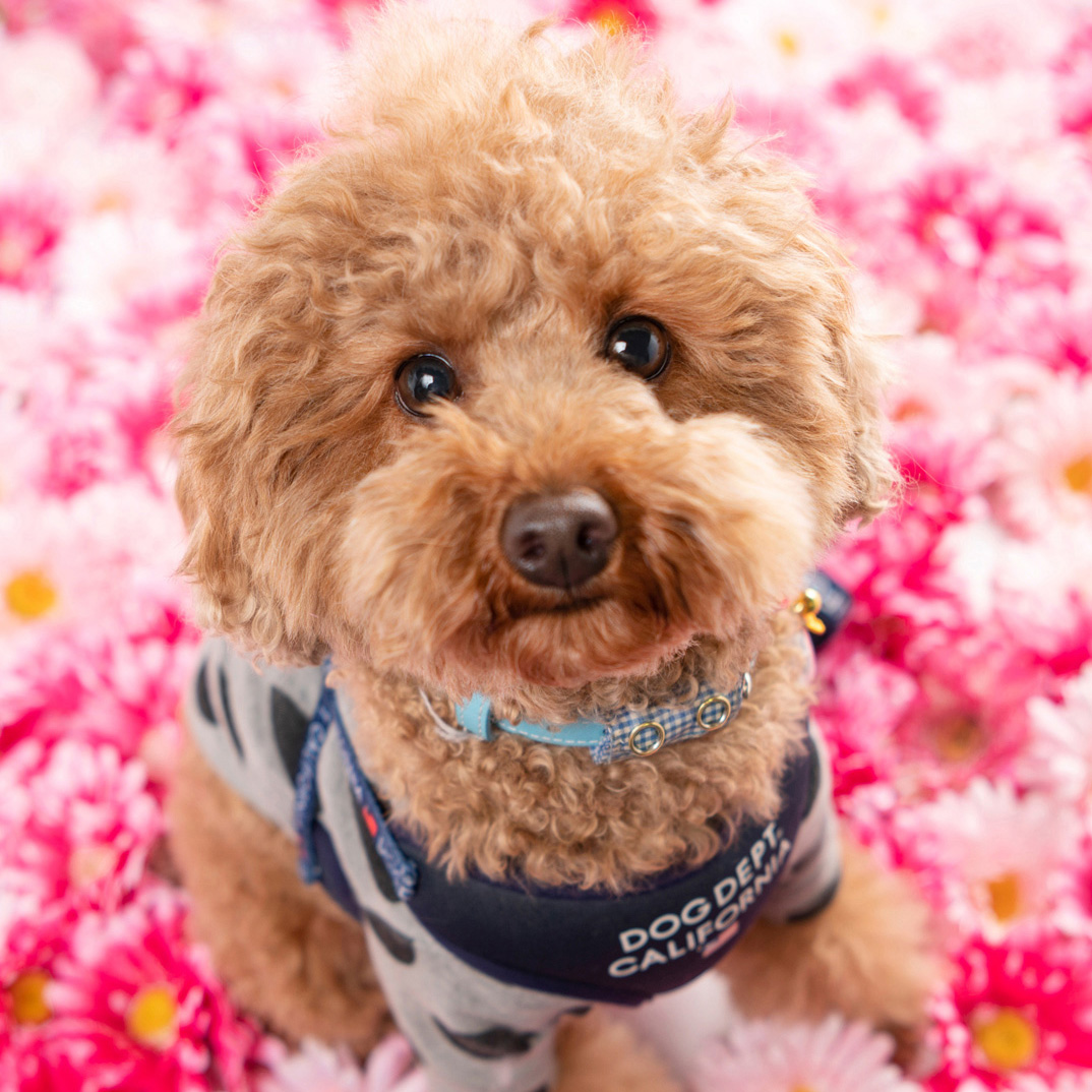 撮影モデルさん