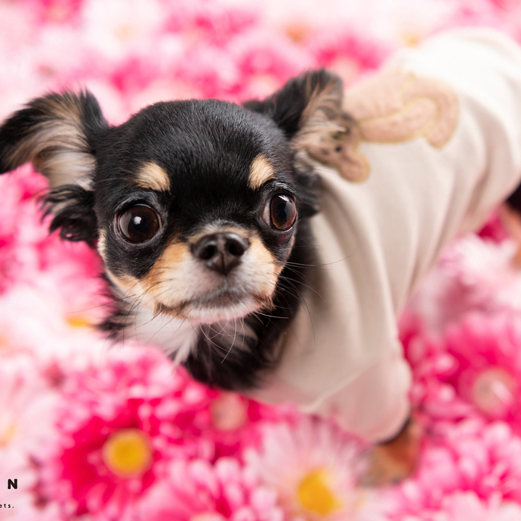 撮影モデルさん