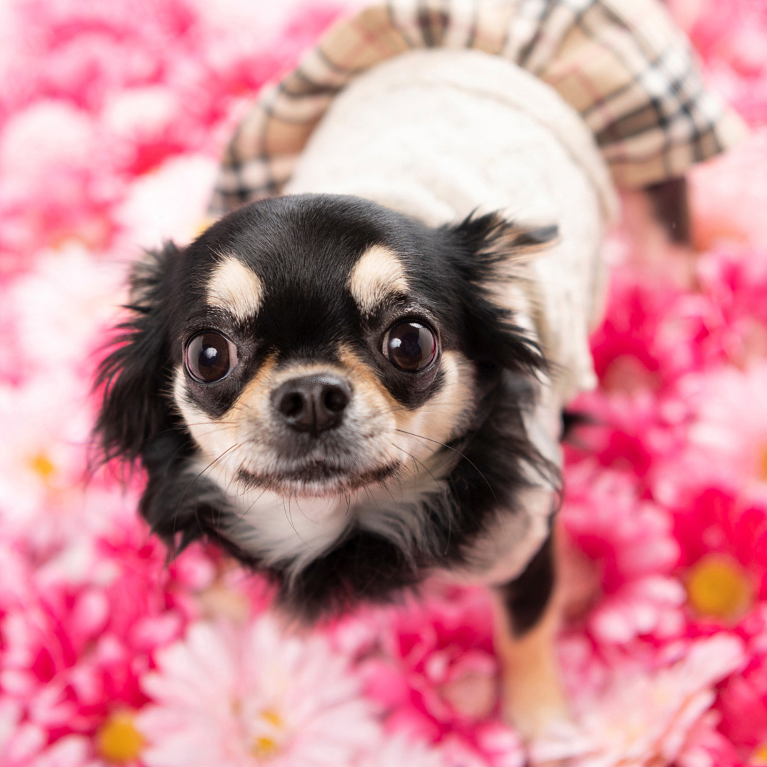 撮影モデルさん