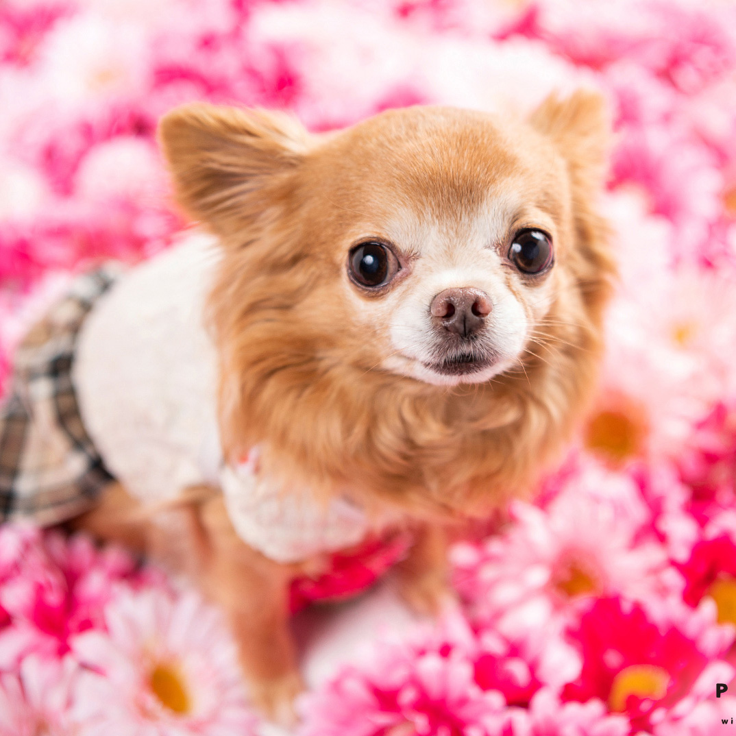 撮影モデルさん