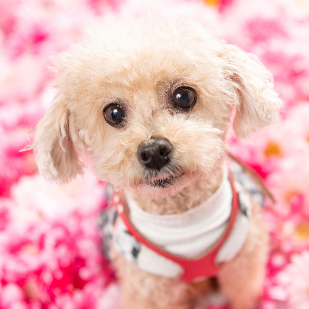 撮影モデルさん