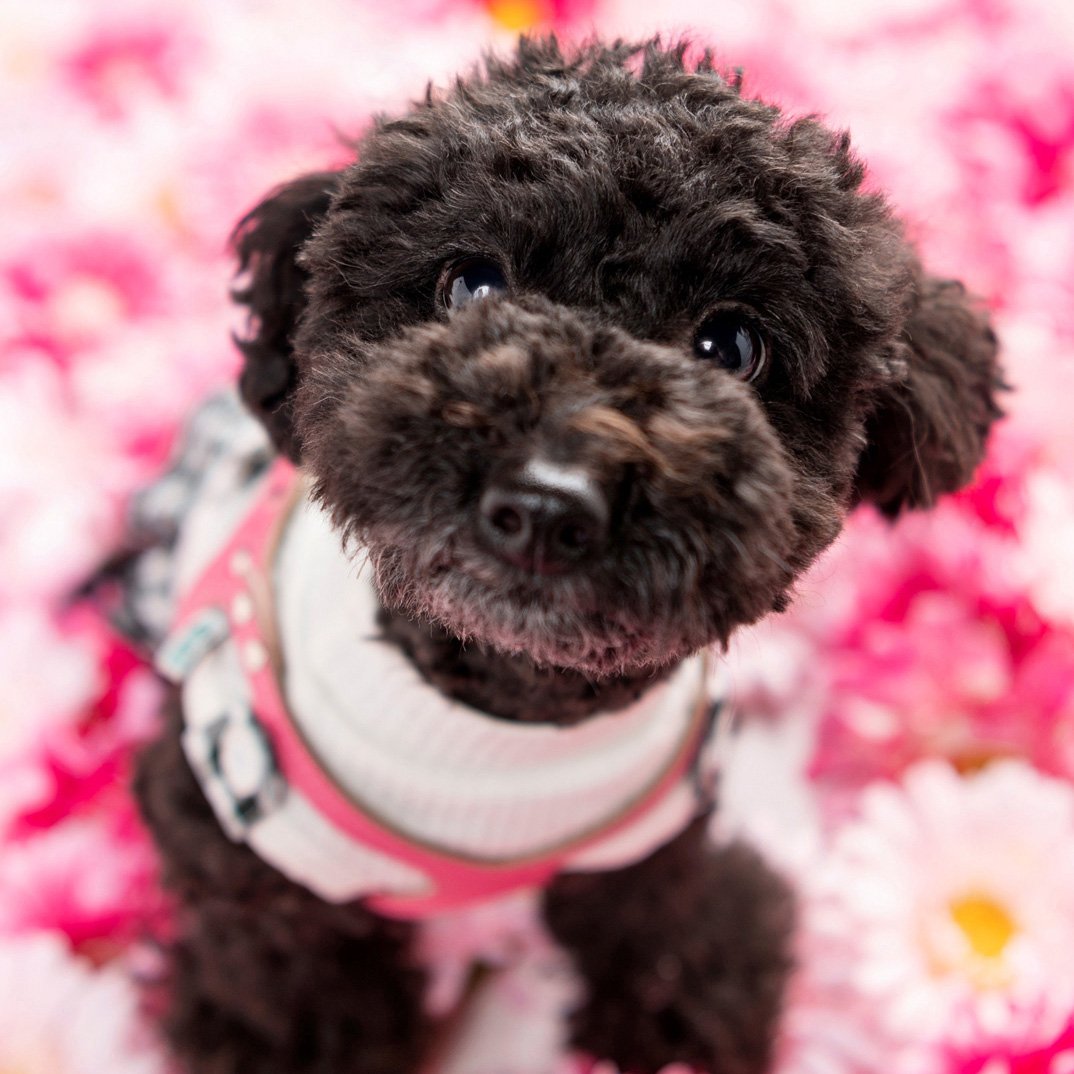 撮影モデルさん