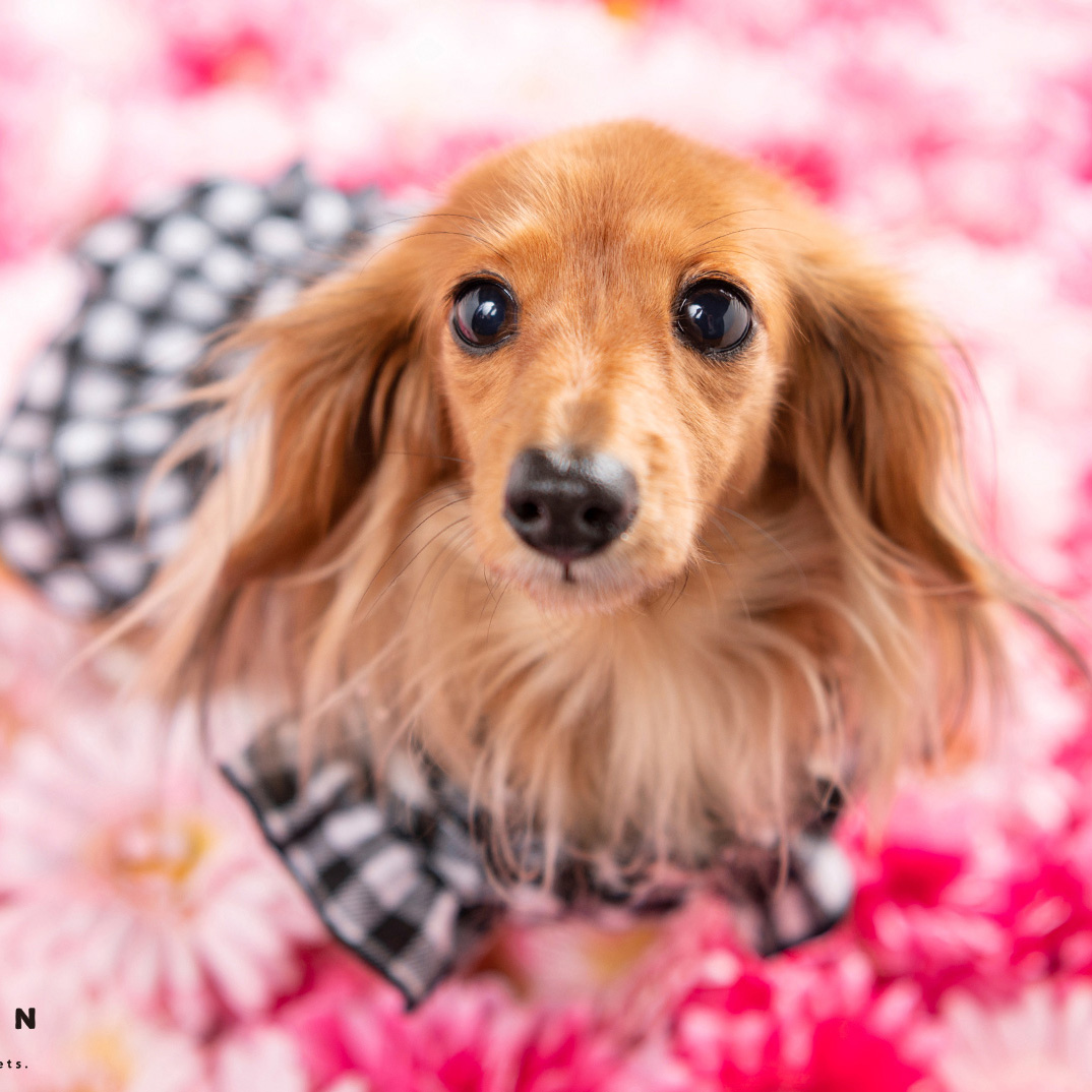 撮影モデルさん