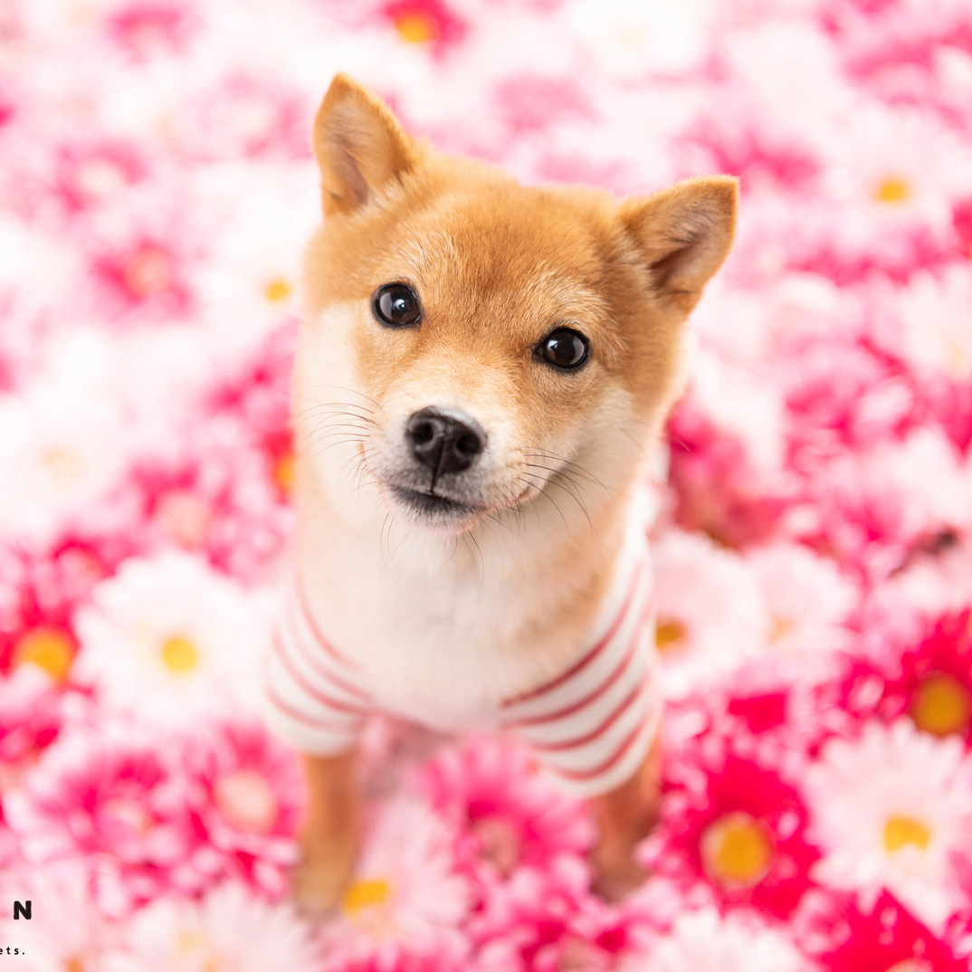 撮影モデルさん