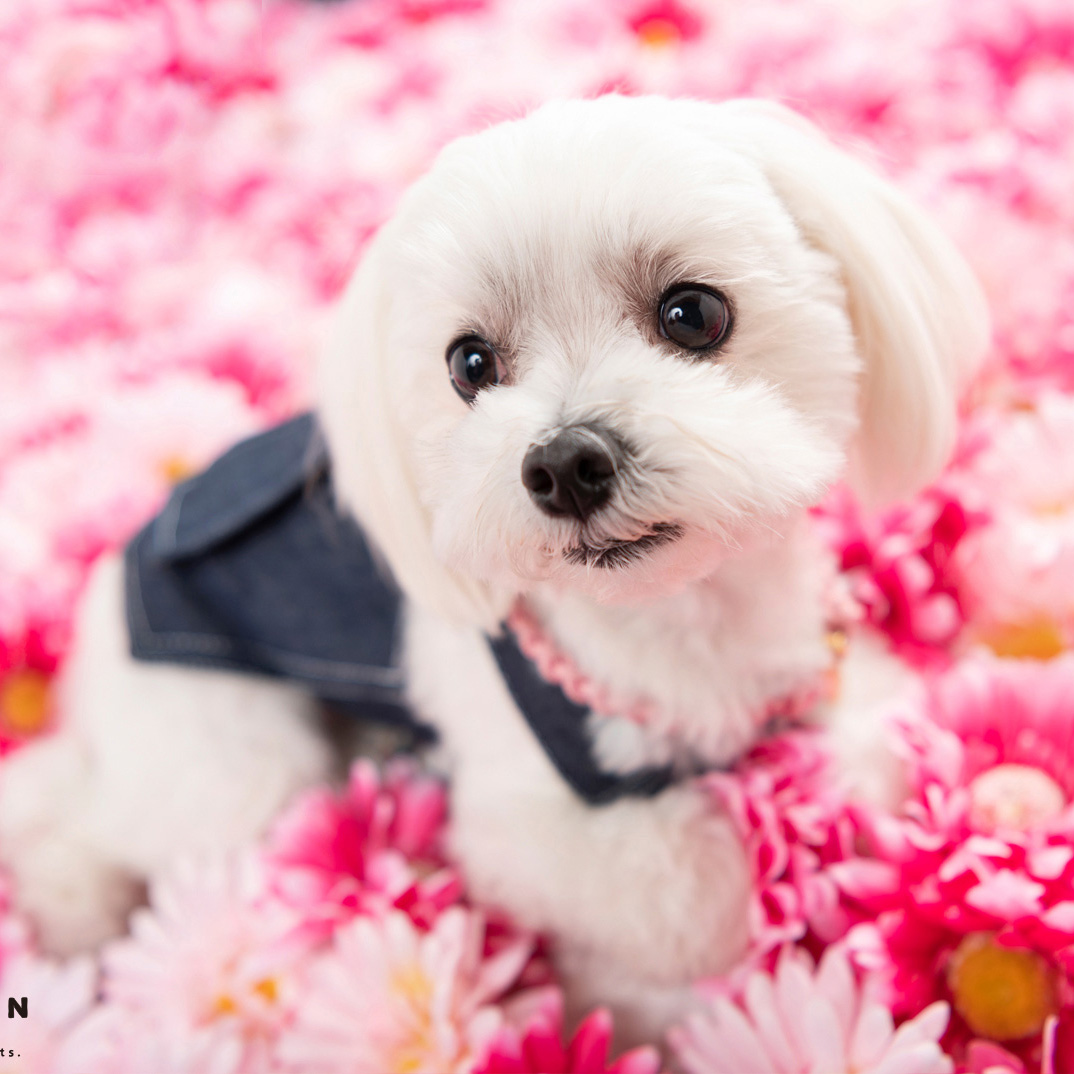 撮影モデルさん