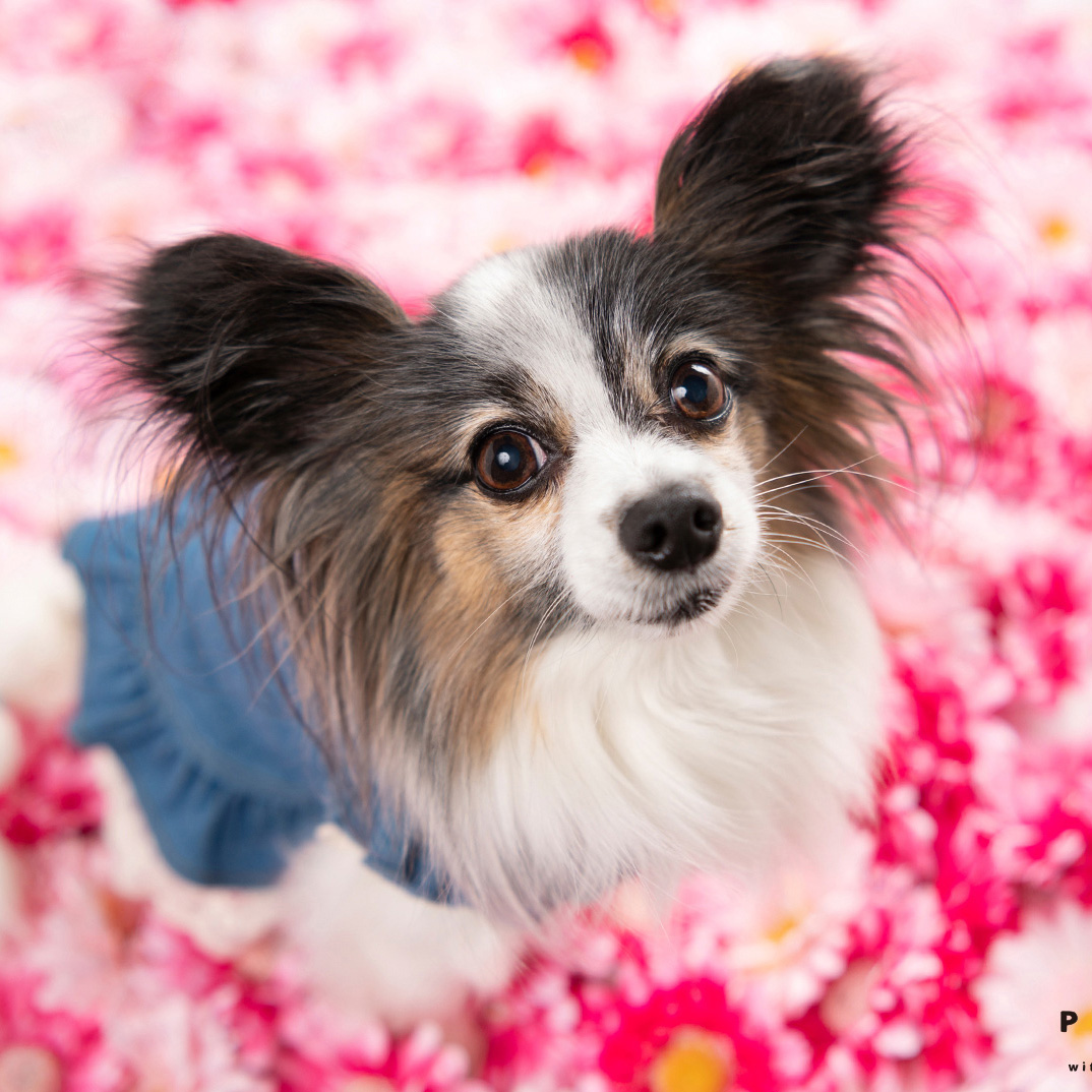 撮影モデルさん