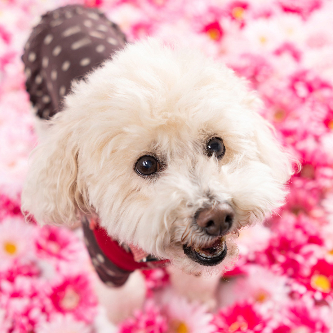 撮影モデルさん