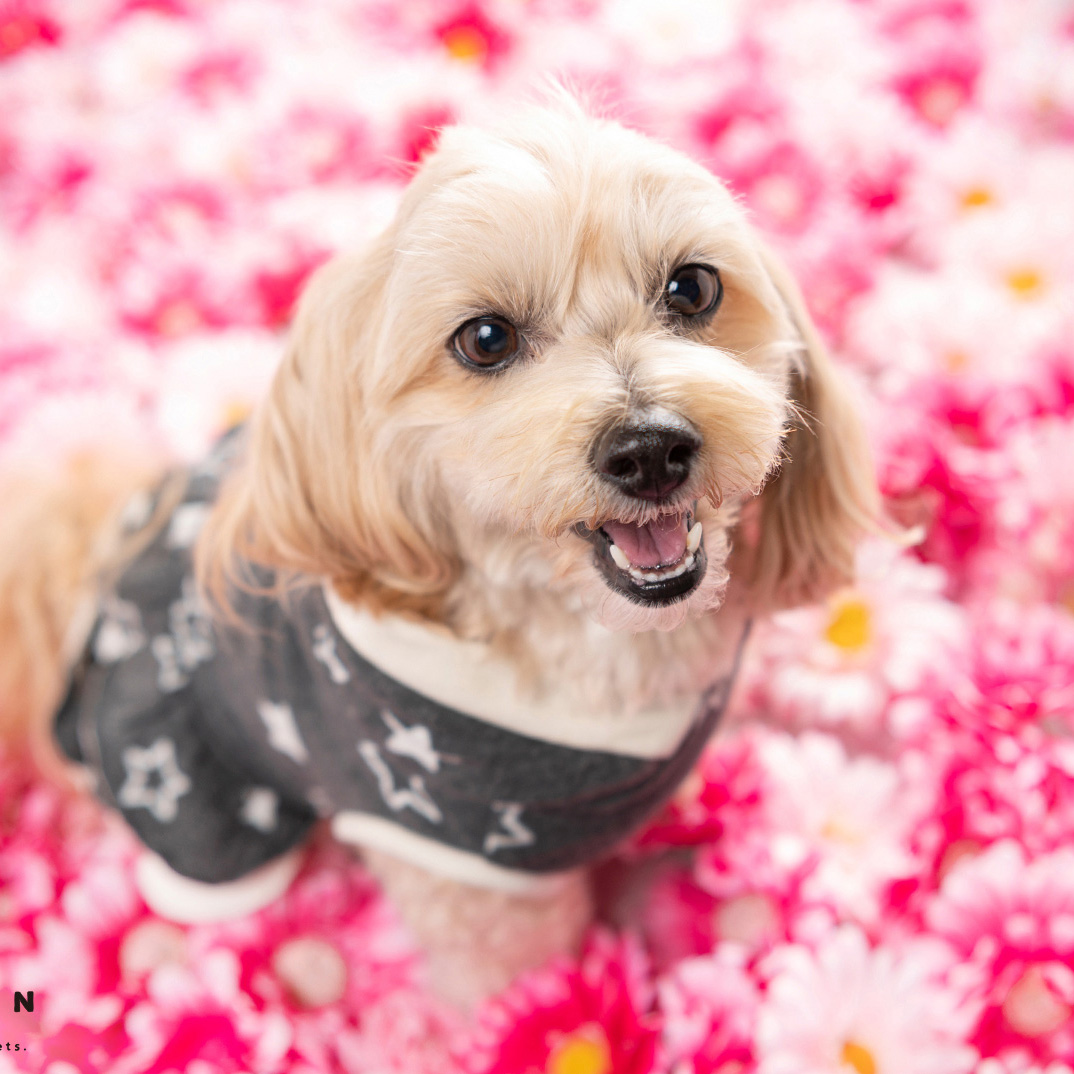 撮影モデルさん