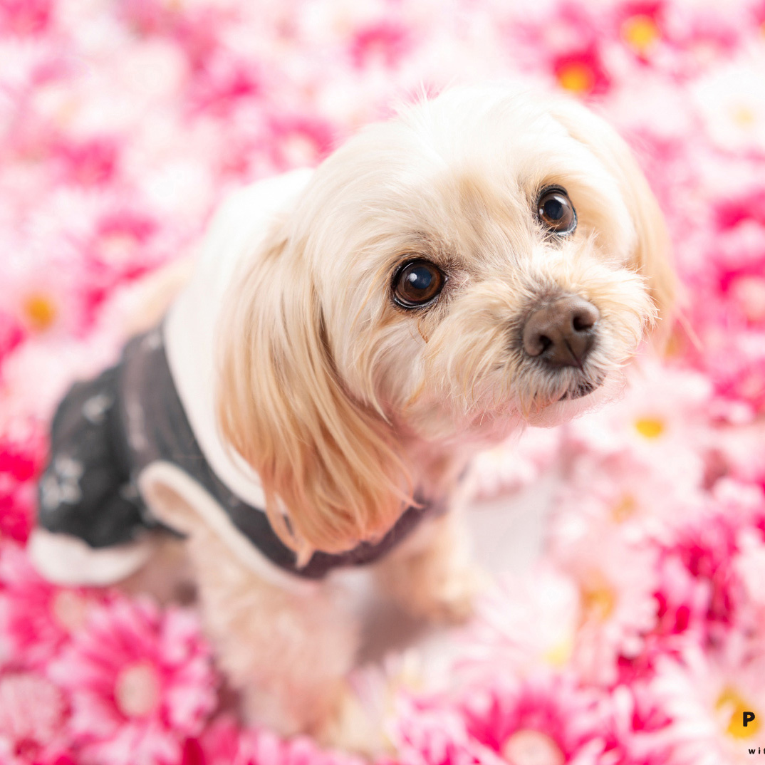 撮影モデルさん