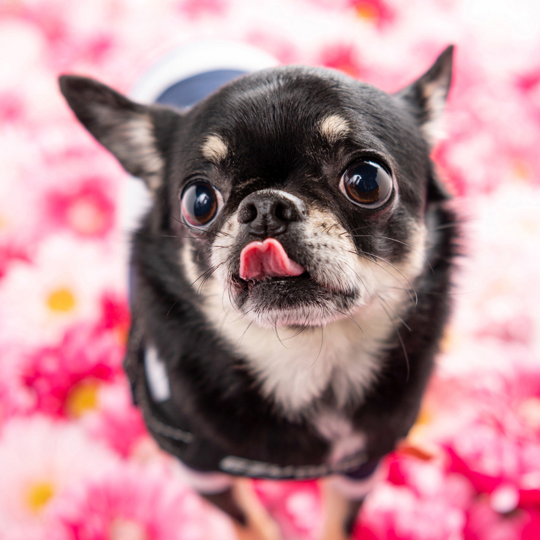 撮影モデルさん