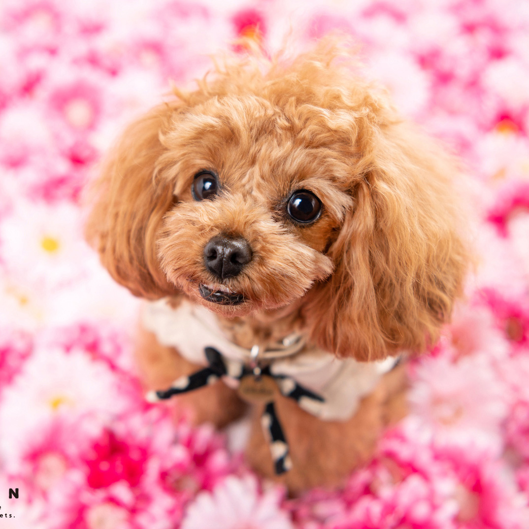 撮影モデルさん