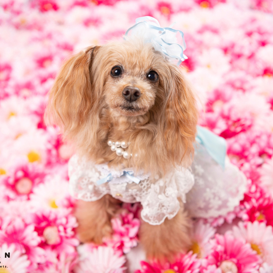 撮影モデルさん