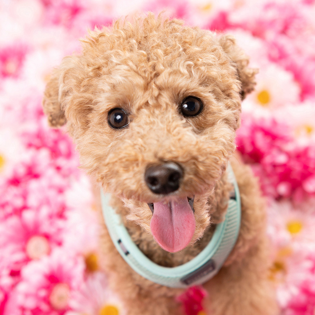 撮影モデルさん