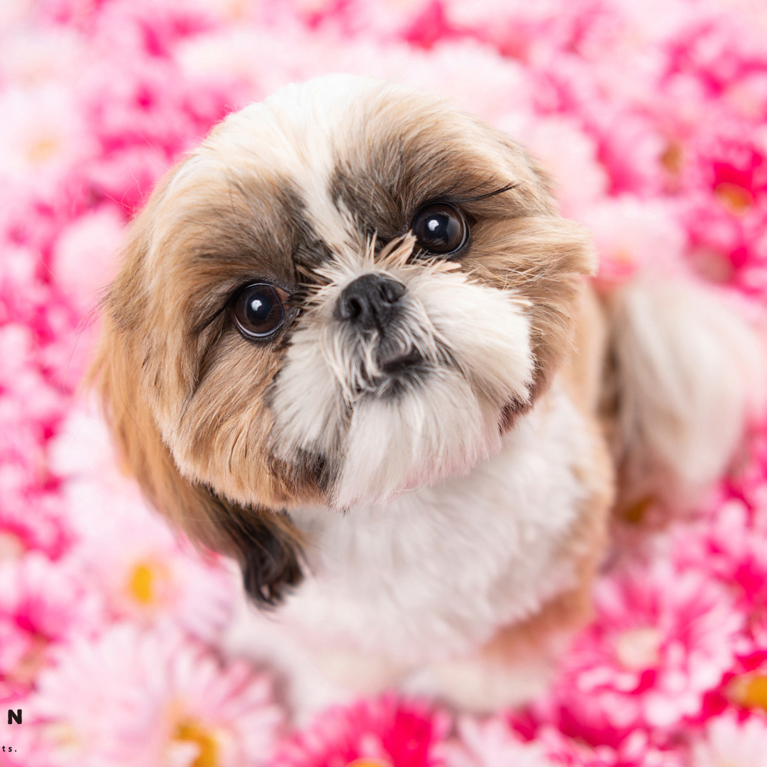 撮影モデルさん