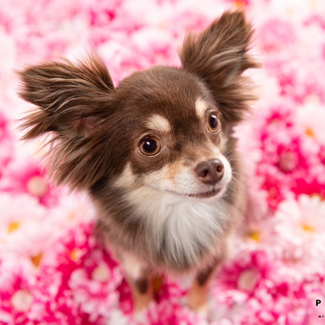 撮影モデルさん