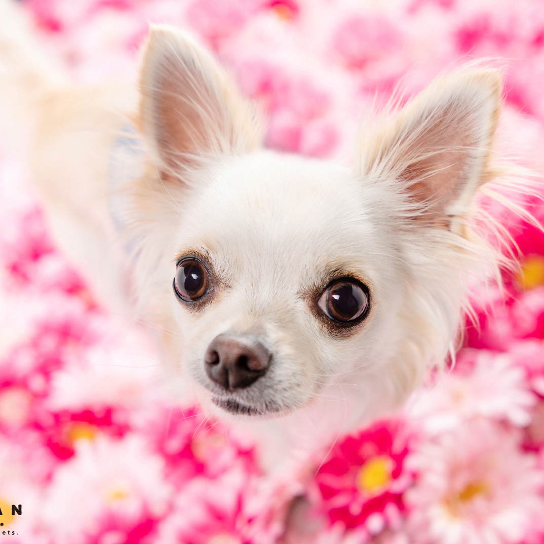 撮影モデルさん