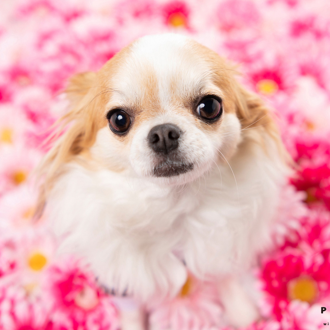 撮影モデルさん