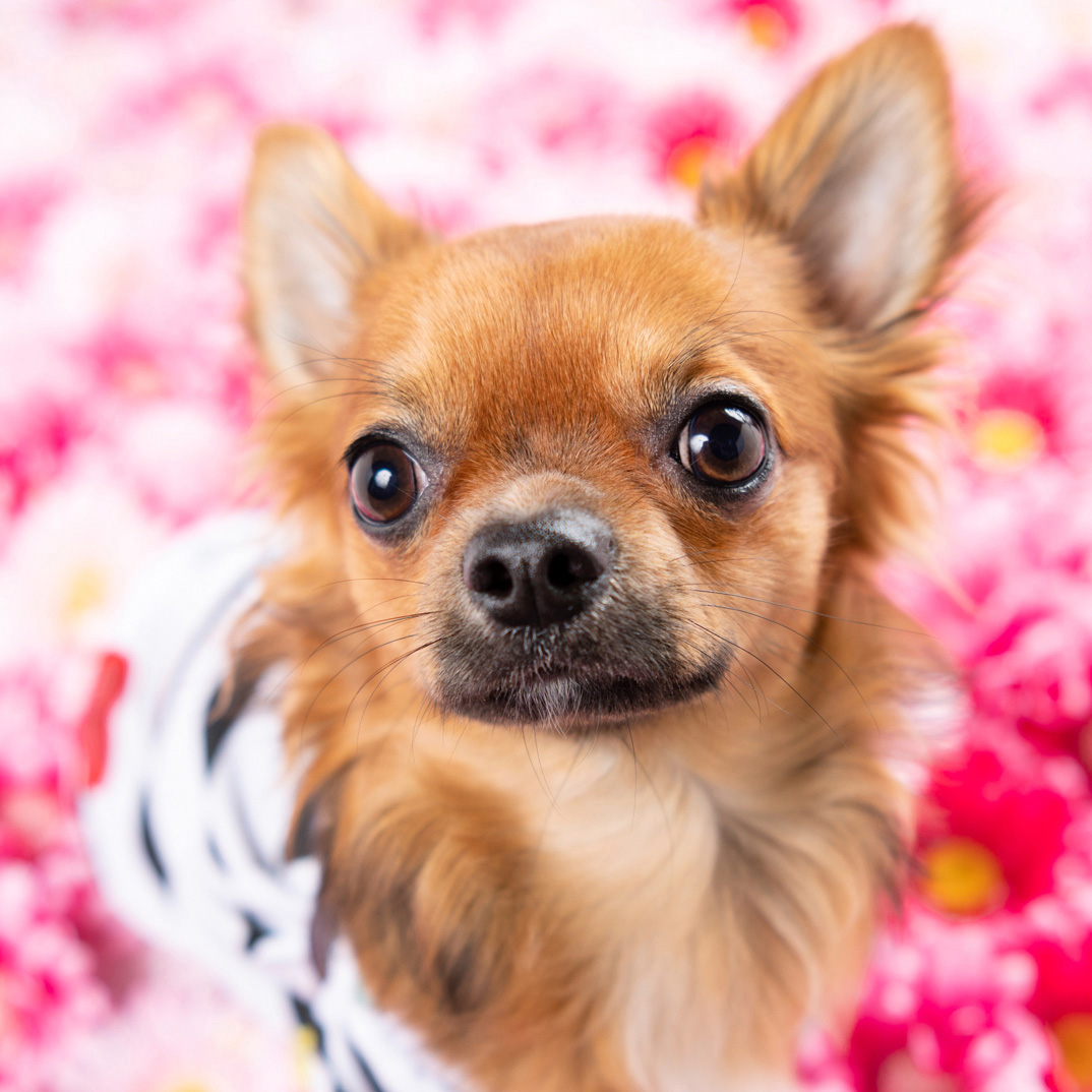 撮影モデルさん