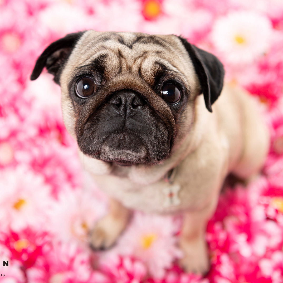 撮影モデルさん