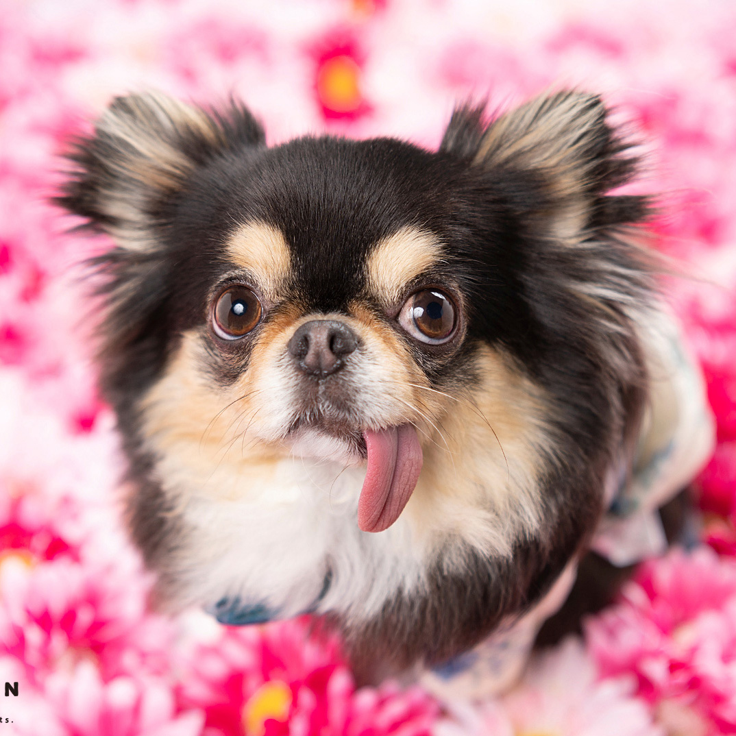 撮影モデルさん