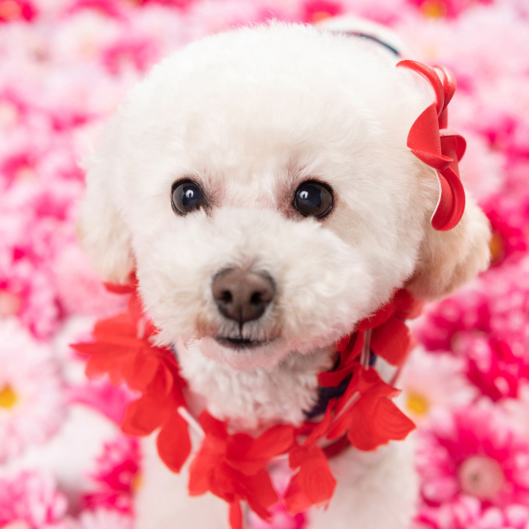 撮影モデルさん