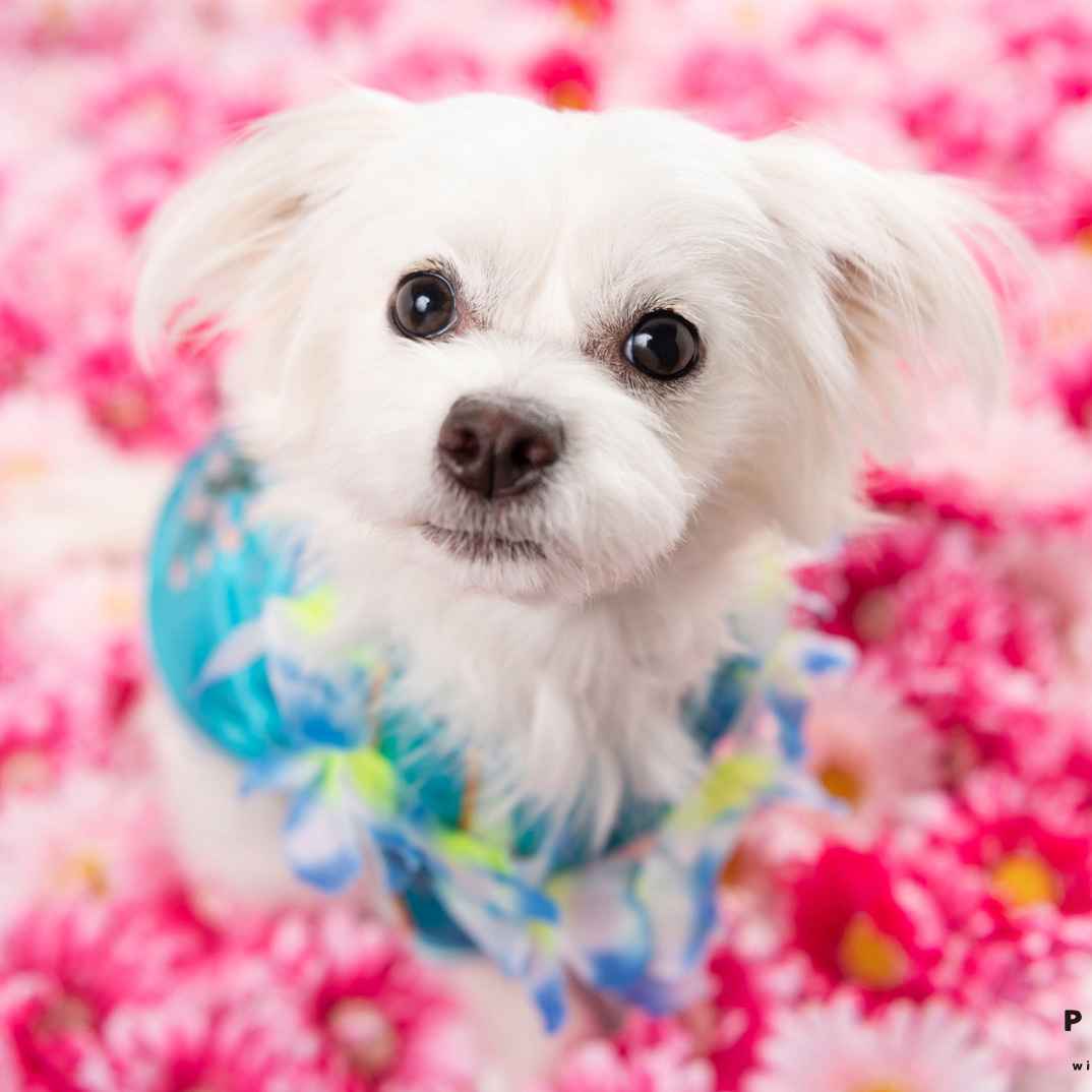 撮影モデルさん