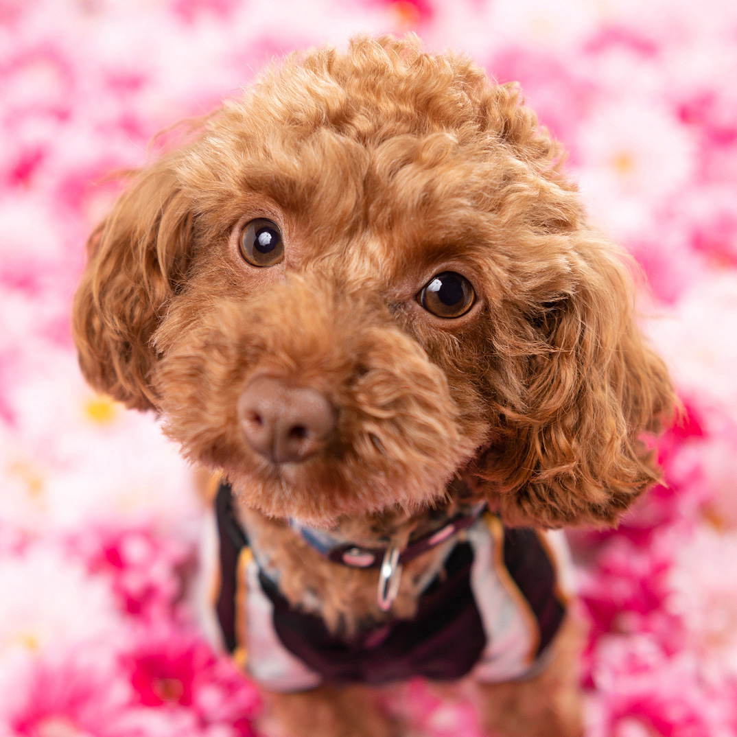 撮影モデルさん