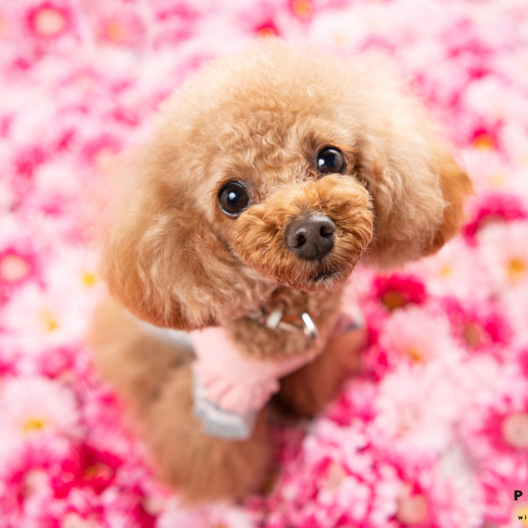 撮影モデルさん