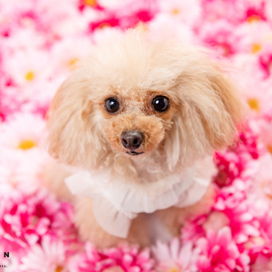 撮影モデルさん