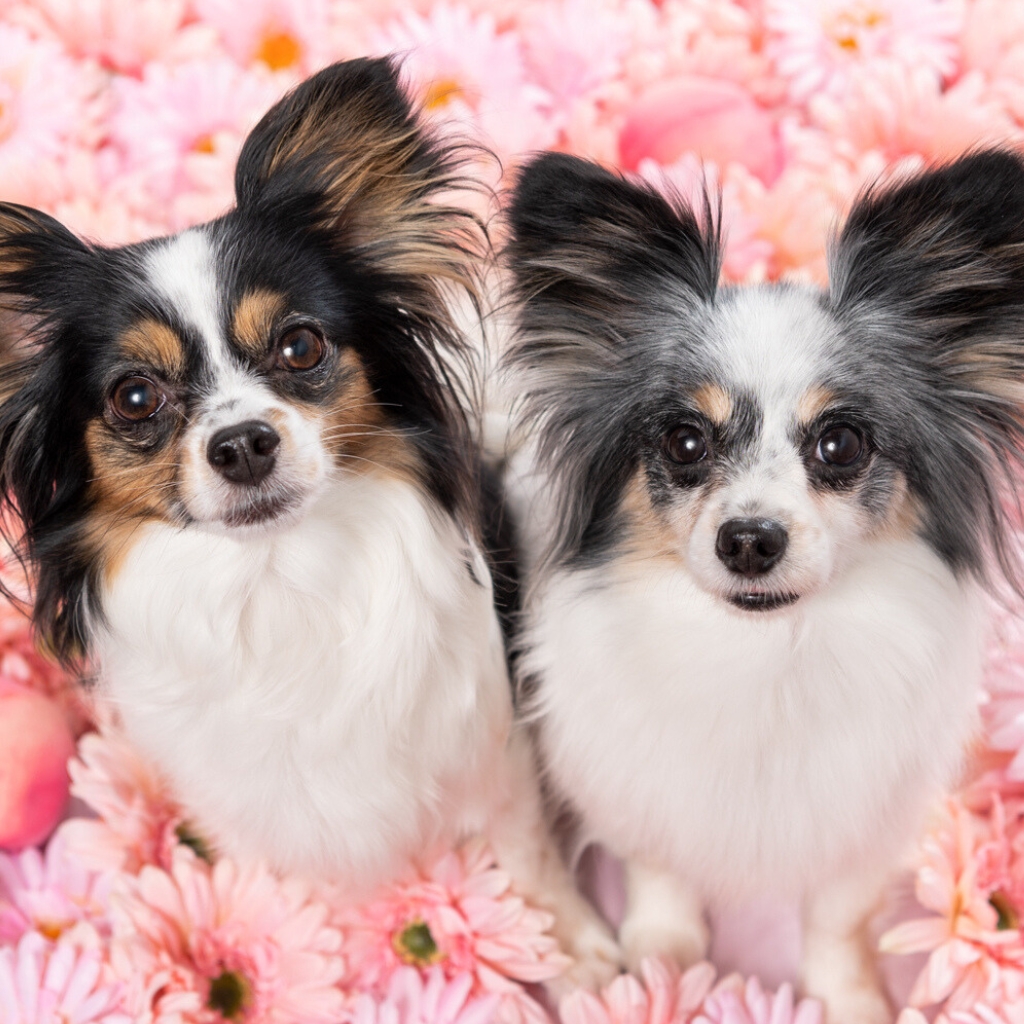 撮影モデルさん